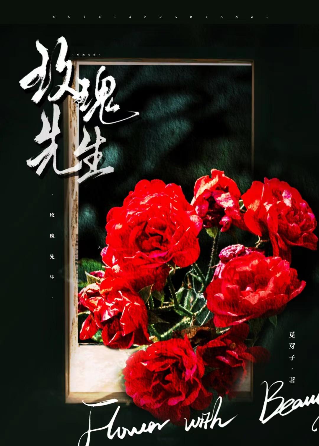 玫瑰先生讲的什么