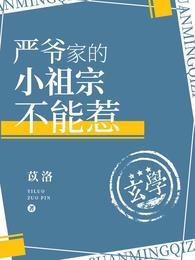 严爷家的小祖宗不能惹全文