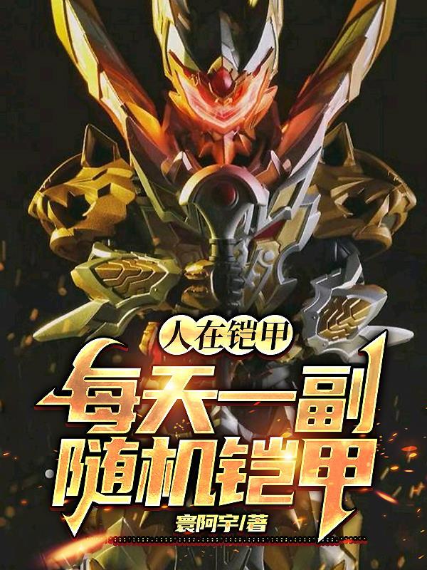 每天一副随机铠甲 寰阿宇