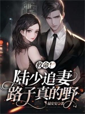 救命陆少追妻路子真的野