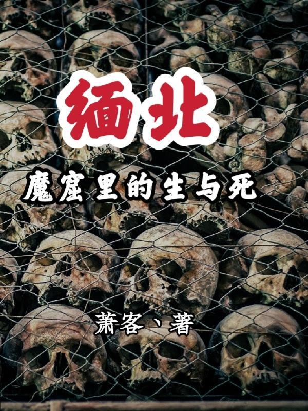 缅北魔窟里的生与死作者