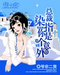 总裁染指小小妻