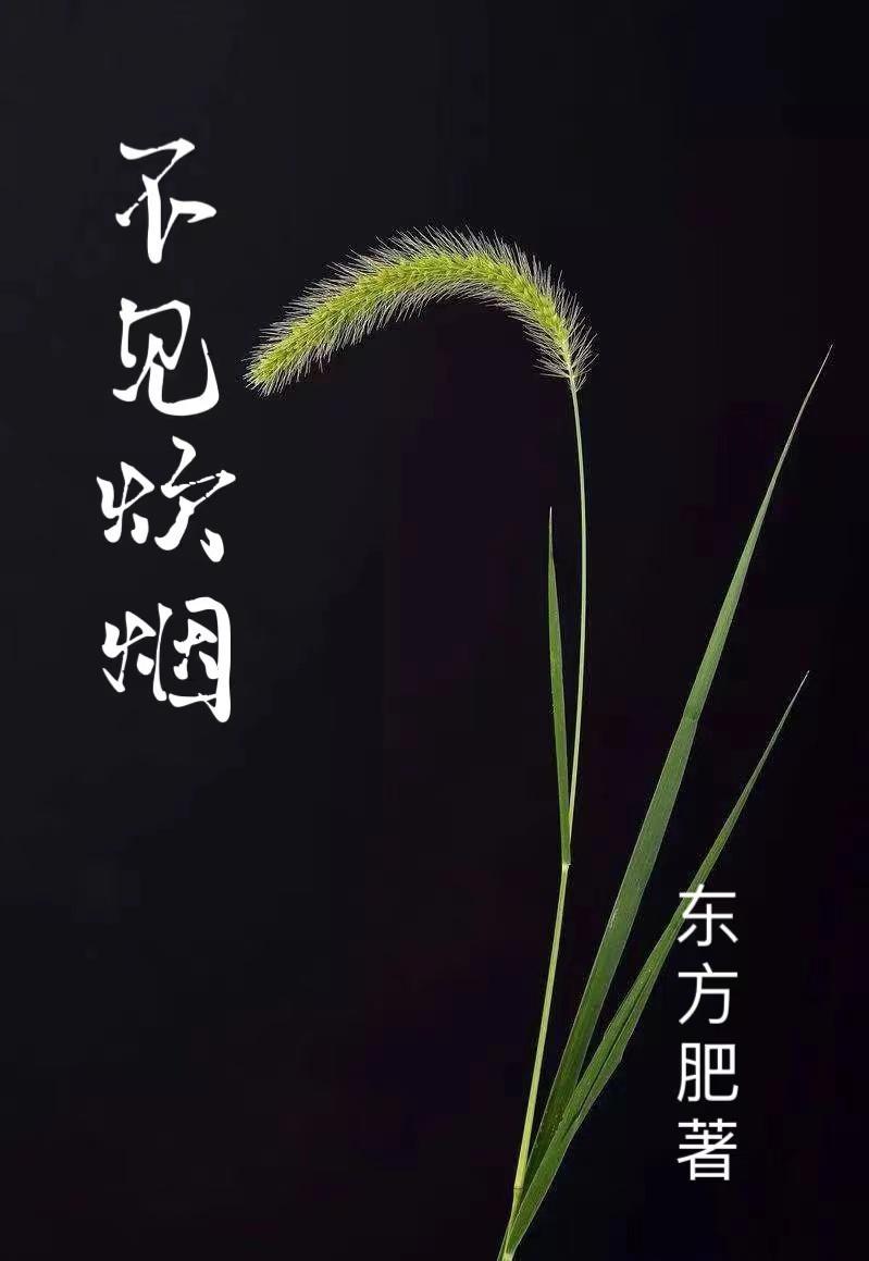 不见炊烟 解放军报