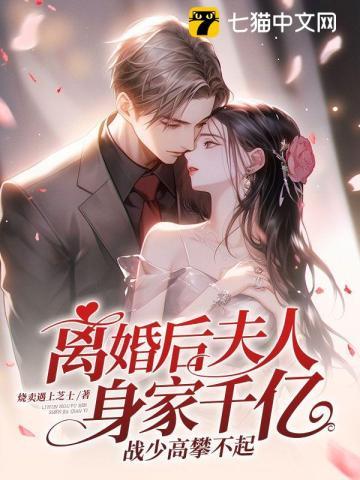 战少高攀不起烧