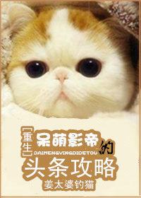 呆萌影帝妙探妻