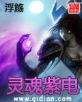 灵魂紫电 聚合中文网