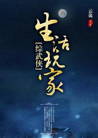 综武侠生活玩家何错之有剧情介绍