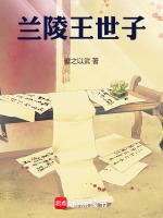 兰陵王世子何元