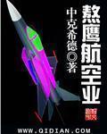 腾飞我的航空时代
