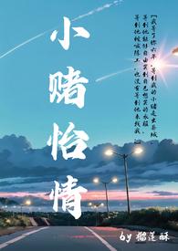 小赌怡情什么意思打一肖