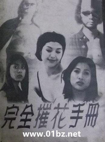 完全摧花手册水下