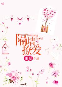 隔墙全文免费阅读