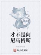 才不是阿尼马格斯笔趣阁