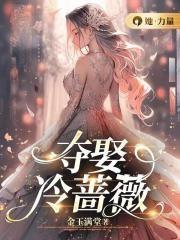 夺娶免费阅读