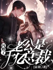 闪婚了老公是千亿总裁古诗安宁