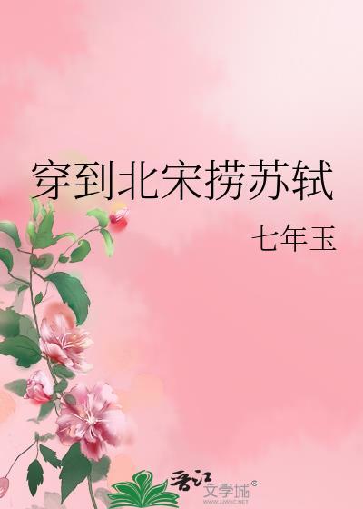 穿越到北宋百科