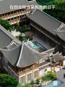 在四合院当采购员的日子泡泡中文