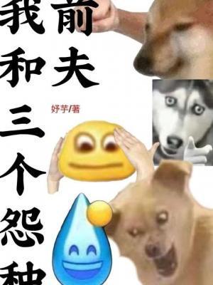 日剧我和我的三个前夫