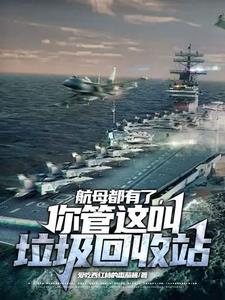 航母都有了你管这叫垃圾回收站