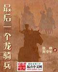 最后龙骑游戏