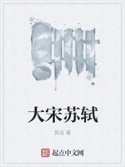 大宋苏轼圈