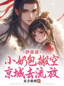 小奶包搬空京城去流放 翻译