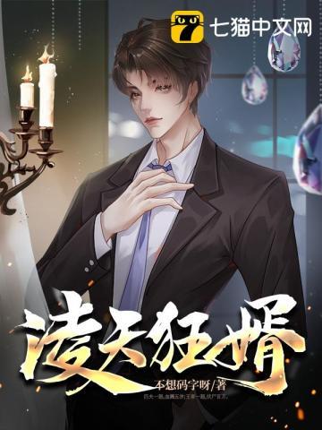 凌天站婿