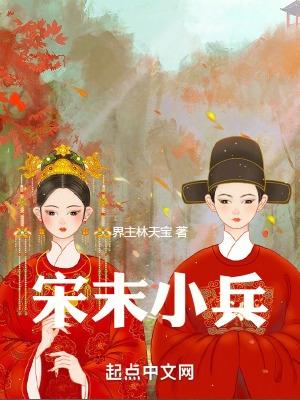 大宋一小兵
