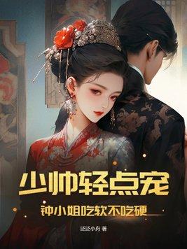 少帅轻一点