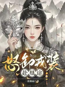 怒卸戎装赴凰途讲的什么