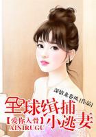 爱你入骨全球缉捕小逃妻男主叫龙