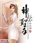 神医圣手杨宇乐免费观看