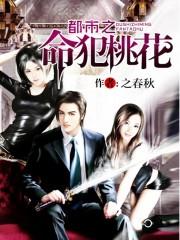 都市之天命神算短剧免费观看