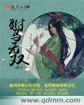驸马无双电影