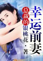 总裁的幸运前妻银桃花免费阅读