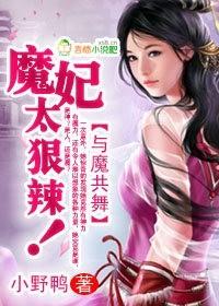与魔共舞话本