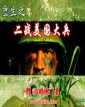 重生二战美国欧洲战场的
