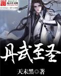 丹武至尊修炼境界