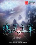 魂灵役主怎么样