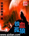 铁血战狼大结局