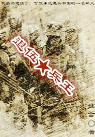 退伍兵王逆袭仕途林飞扬