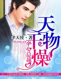 小心总裁聿天使
