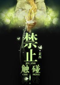 禁止触碰gl素西免费笔趣阁