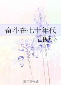 奋斗在七十年代的