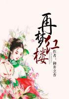 再梦红楼txt