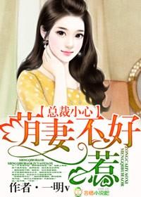 总裁妖妻不好惹