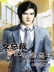 女总裁的贴身高手百科