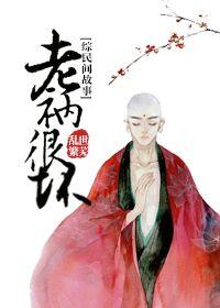 老衲一般指什么人