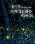 有关少年青春的歌
