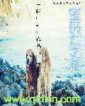 宝岛文抄公
